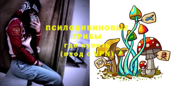 спиды Зеленокумск