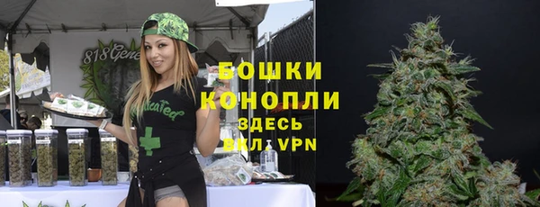 спиды Зеленокумск