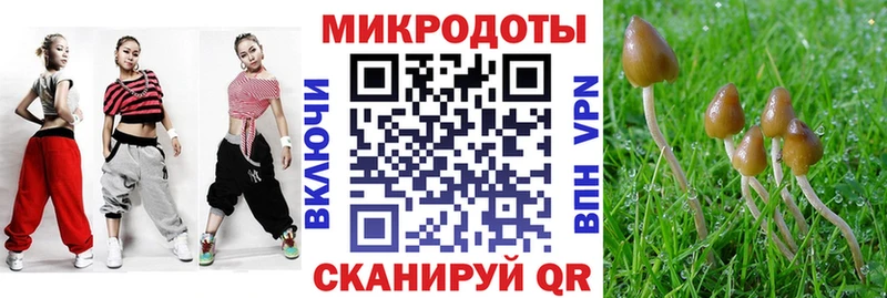 Псилоцибиновые грибы Magic Shrooms  Купить  Отрадная 